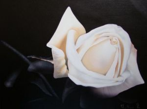 Voir le détail de cette oeuvre: Rose blanche